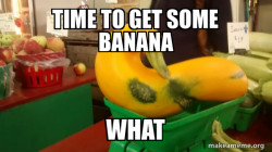 Gourd Advice Mallard