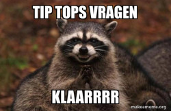 Evil Plotting Raccoon