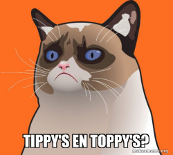 Cartoon Grumpy Cat