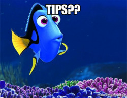 Dory from Nemo  (5 second memory)