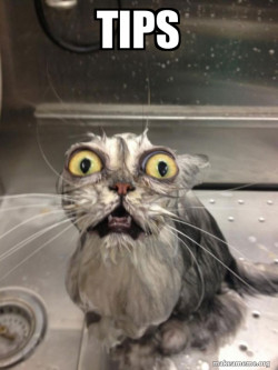 Cat bath