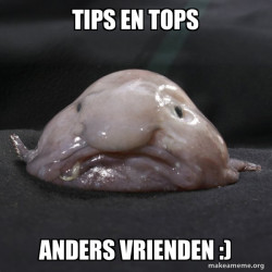 Blobfish