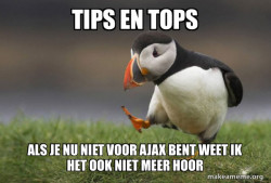Unpopular Opinion Puffin