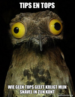 Weird Stuff I do Potoo
