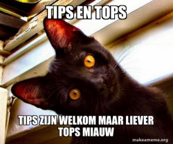 Overly Attached Cat