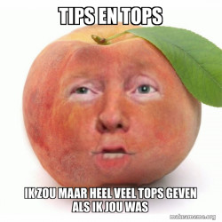 Impeached Donald Trump
