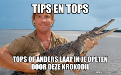 Steve irwin