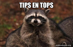 Evil Plotting Raccoon