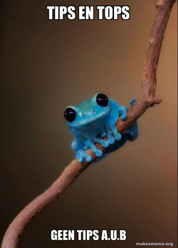 Small Fact Frog