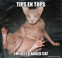 Hairless Cat