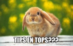 Regretful Rabbit