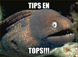 Bad Joke Eel