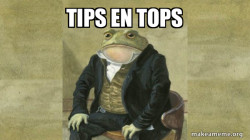 Colonel Toad