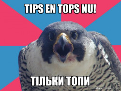 Millennial Falcon