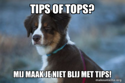 Unsure Dog