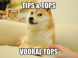 Doge