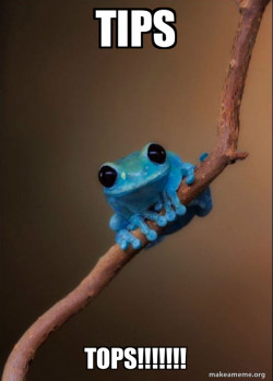Small Fact Frog
