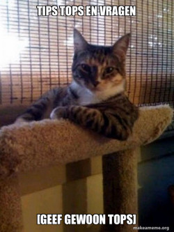 The Most Interesting Cat in the World