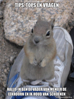 Standover Squirrel