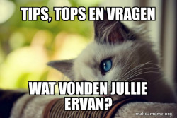 First World Cat Problems