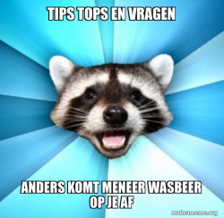Lame Pun Coon