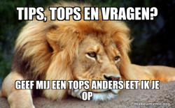 Confession Lion