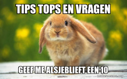Regretful Rabbit