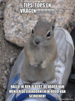 Standover Squirrel