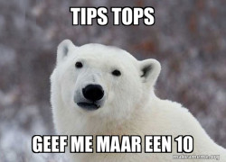Popular Opinion Polar Bear