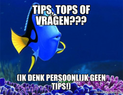 Dory from Nemo  (5 second memory)