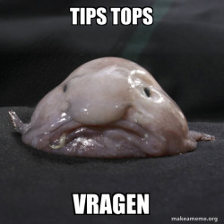 Blobfish