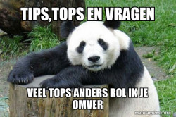 Confession Panda
