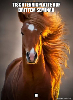 Ridiculously photogenic horse