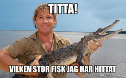Steve irwin