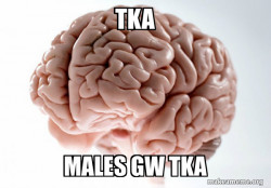 Scumbag Brain