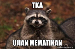 Evil Plotting Raccoon