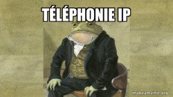 Colonel Toad