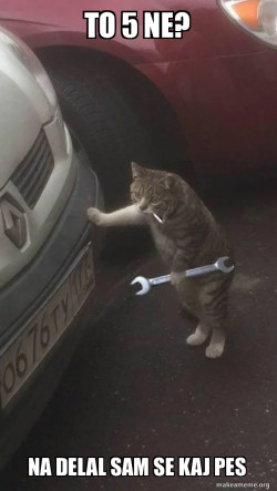 Mechanic Cat