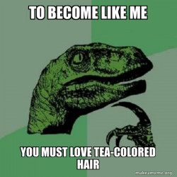 Philosoraptor