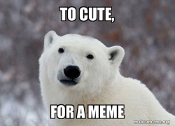 Popular Opinion Polar Bear