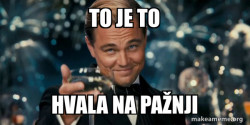 Great Gatsby Reaction - Leonardo DiCaprio Toast
