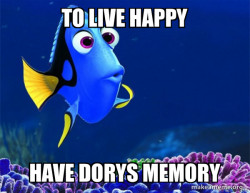 Dory from Nemo  (5 second memory)