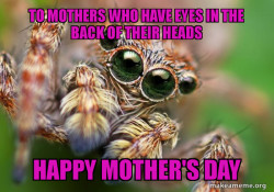 Mothers Day Spider