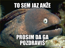 Bad Joke Eel