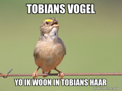 Common Opinion Sparrow