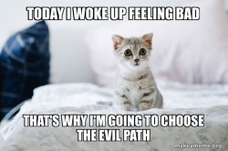 Cute Kitten