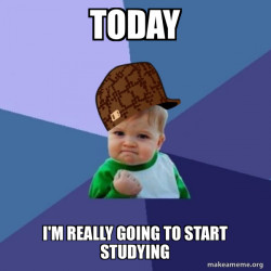 Scumbag Success Kid