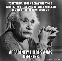 Serious Albert Einstein
