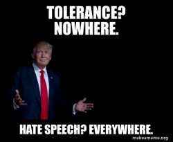 Trump Everything is FIne