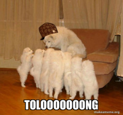 Scumbag Storytelling Dog
